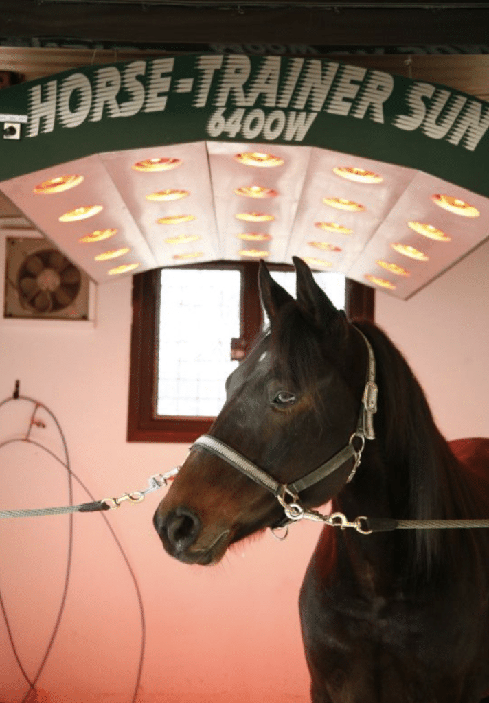 Solarium pour chevaux Horse-Trainer Sun